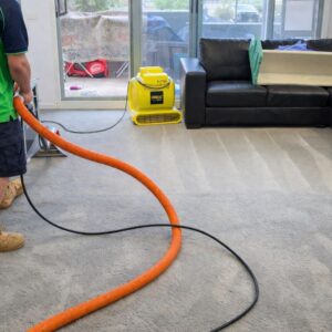 Carpet Cleaning in Canberra