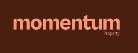 momentum momentum